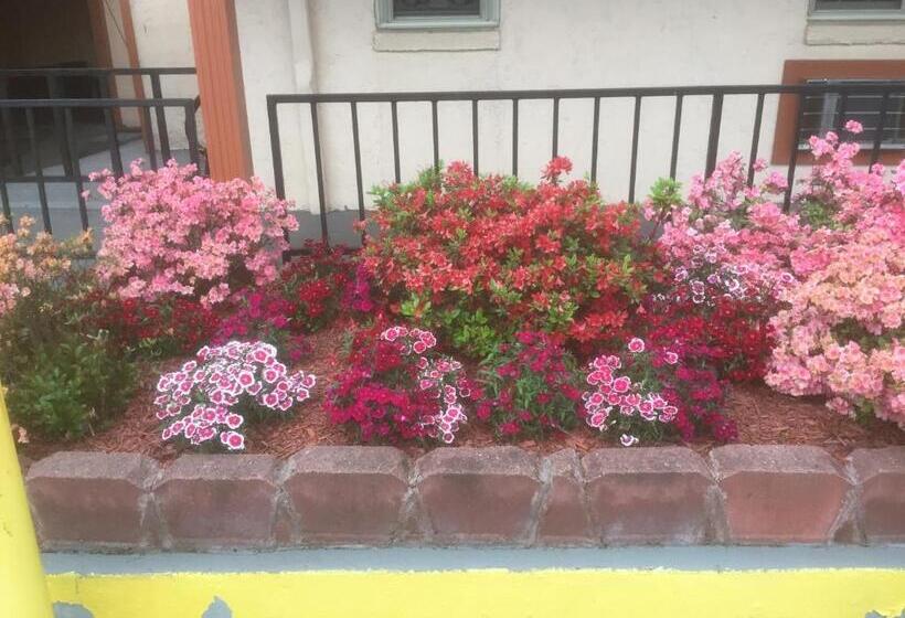 ホテル Royalinn & Suites