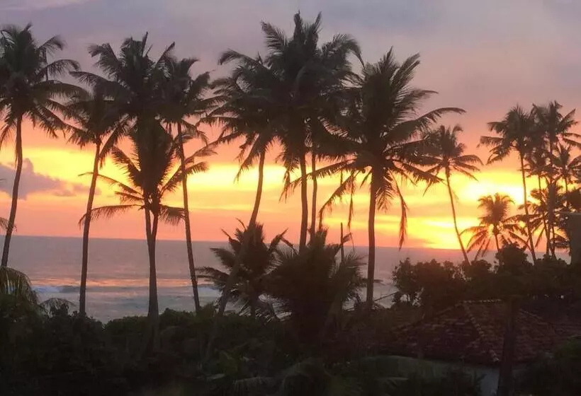 Hotel Ruma Surf