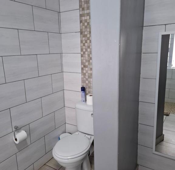 פנסיון Big Tree Guesthouse Brits