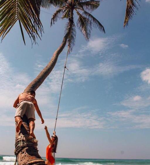 פנסיון Dream Cabana