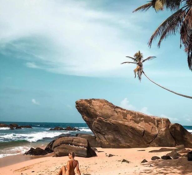 פנסיון Dream Cabana