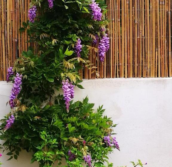 פנסיון La Casa Malu