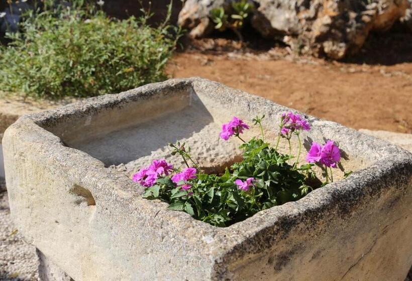 פנסיון La Casa Malu