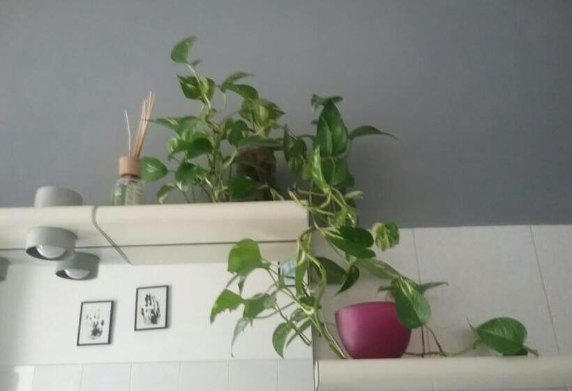 پانسیون Mascagni Rooms