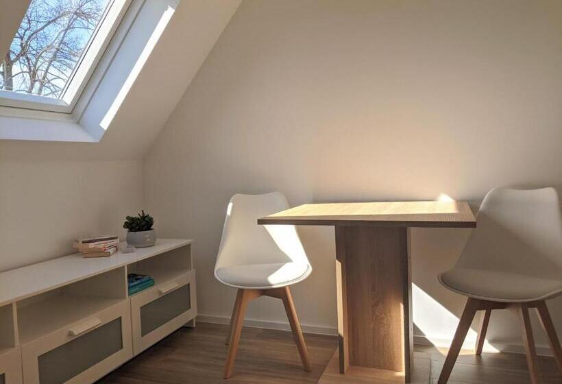 Пансион Monteurzimmer In Ludwigshafen Oppau Nähe Zu Basf