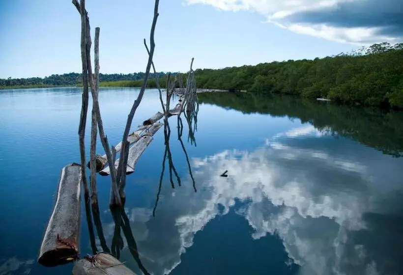Lomakeskus Big Tree Cottages