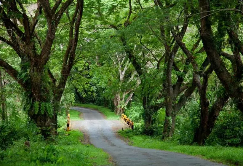 Lomakeskus Big Tree Cottages