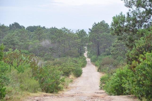 Общежитие Posada Anacahuita