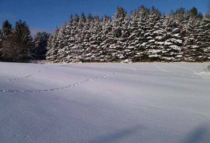 تختخواب و صبحانه Inn On The Moraine