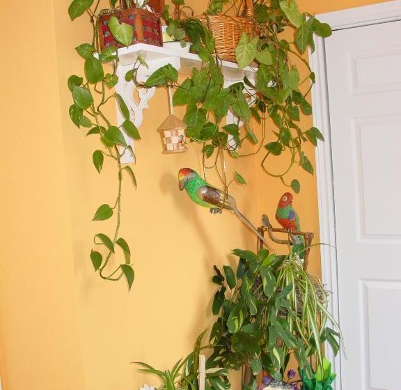 تختخواب و صبحانه Inn On The Moraine