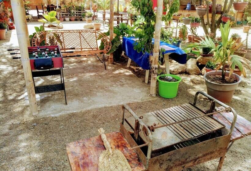 Guacamayo Bed & Breakfast