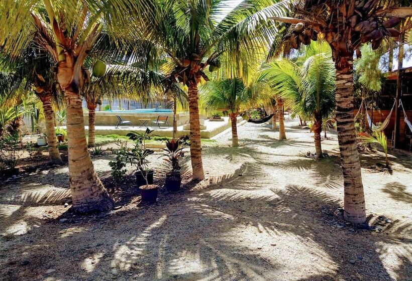 Guacamayo Bed & Breakfast