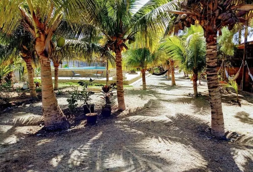 Guacamayo Bed & Breakfast