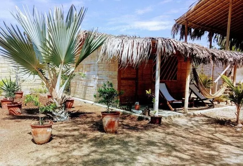 Guacamayo Bed & Breakfast