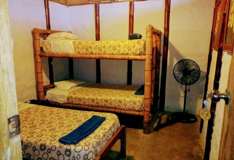 Guacamayo Bed & Breakfast