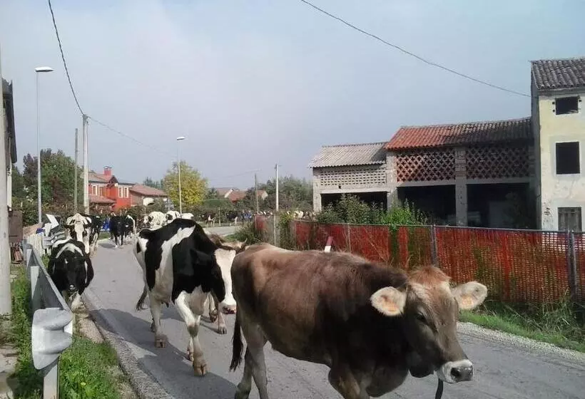 ホテル Agriturismo La Prateria