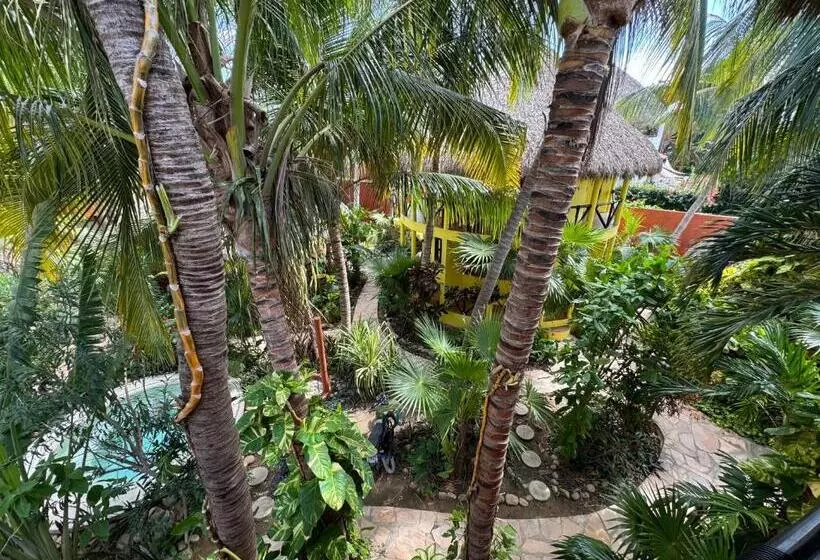 One Love Hostal Puerto Escondido