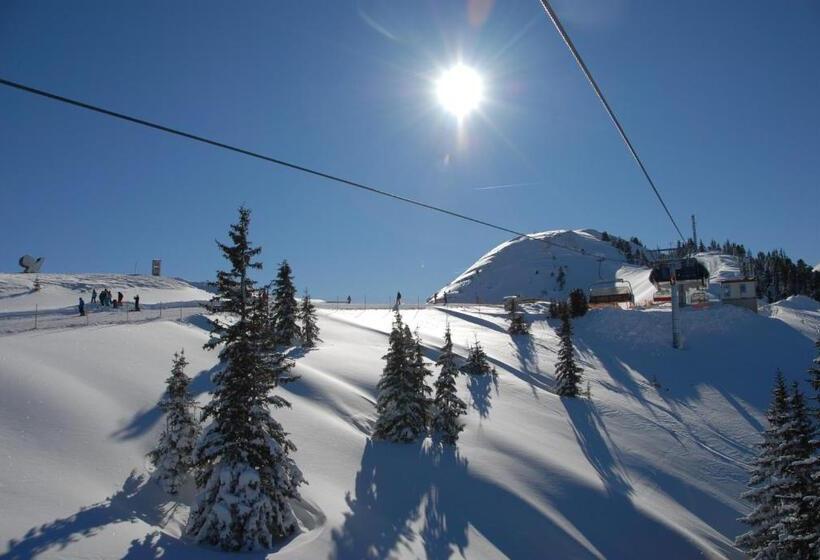 بنسيون Berghof Riesneralm