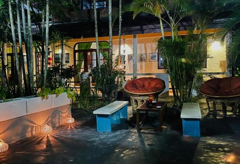 膳宿费 Bougain Villa Guesthouse