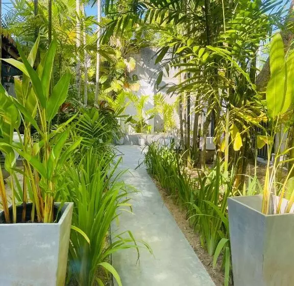 ペンション Bougain Villa Guesthouse