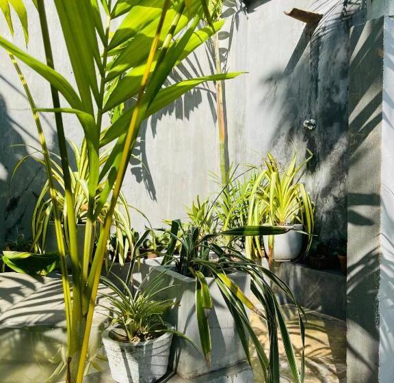 膳宿费 Bougain Villa Guesthouse