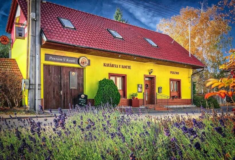 پانسیون Penzion V Koutě