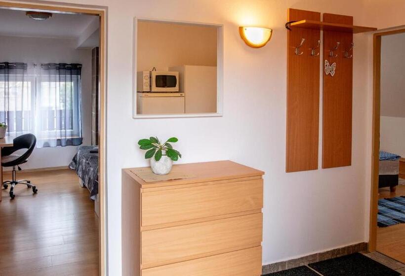 پانسیون Penzion V Koutě