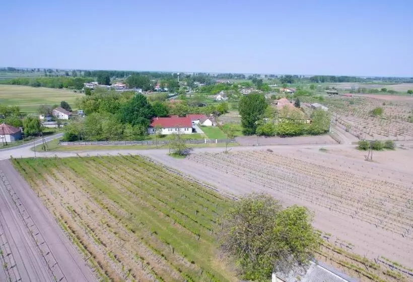 ペンション Tölgyfa Vendégház