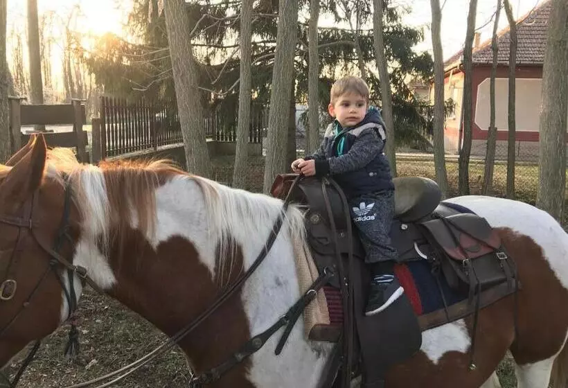 ペンション Tölgyfa Vendégház