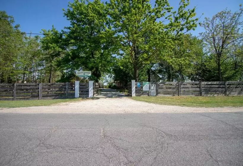 ペンション Tölgyfa Vendégház