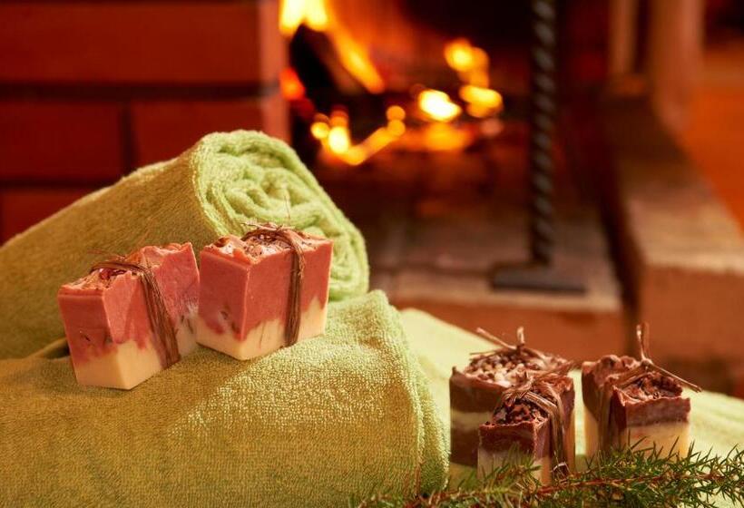 Summer Hotel Tähtelä, Alkio Opisto