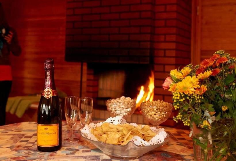 Summer Hotel Tähtelä, Alkio Opisto