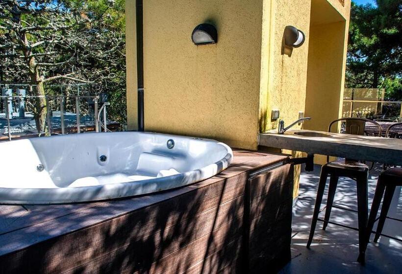 Terrazas Del Bosque Aparts