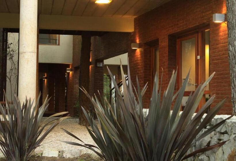 Terrazas Del Bosque Aparts