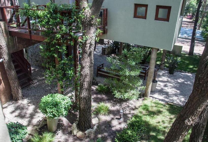 Terrazas Del Bosque Aparts