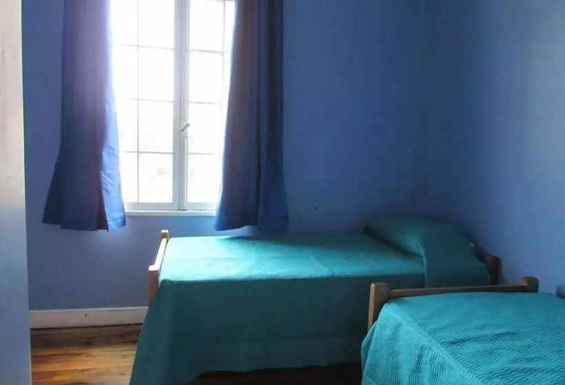 Viña City Hostel Ii