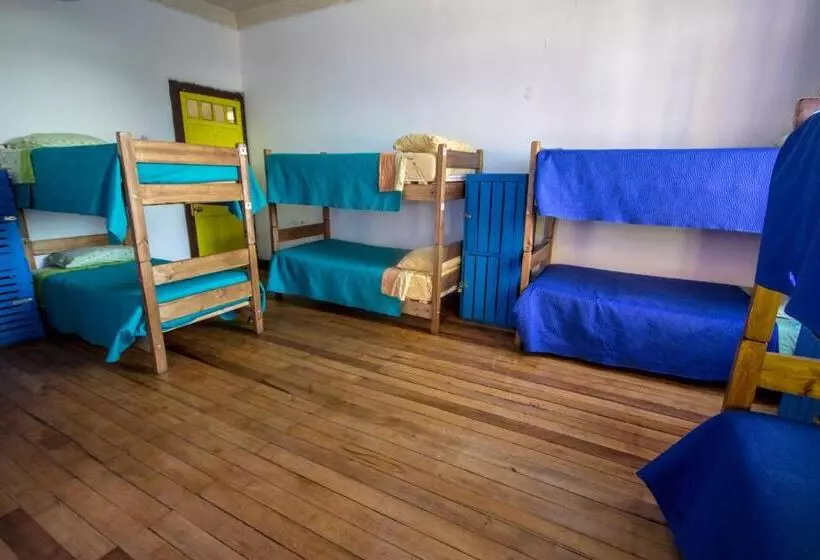 Viña City Hostel Ii