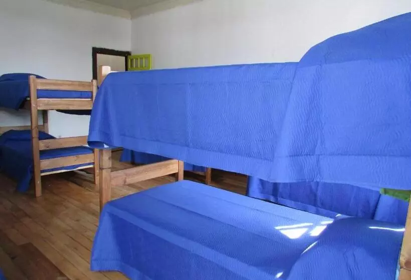 Viña City Hostel Ii
