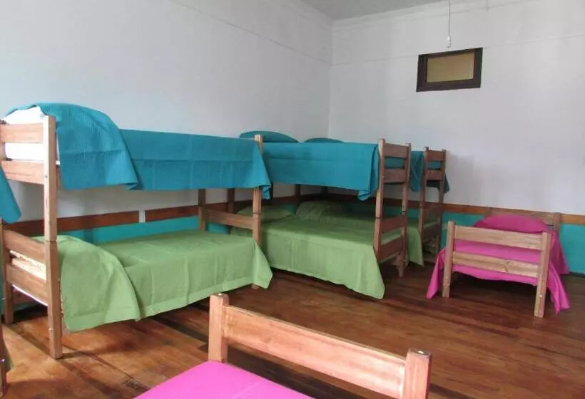 Viña City Hostel Ii