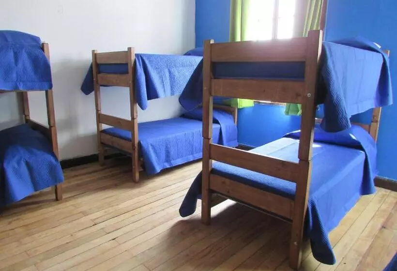 Viña City Hostel Ii