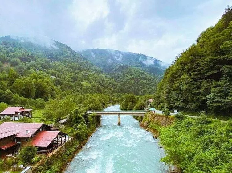 Ahsena Buti̇k Otel