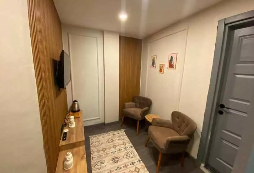 Ahsena Buti̇k Otel