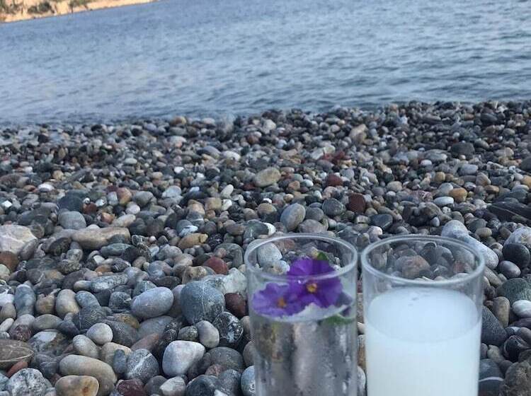 Хостел Melinda