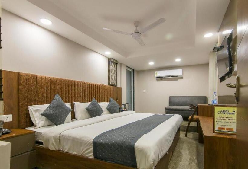 호텔 Anand   New Delhi