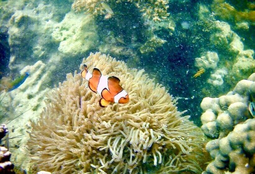 بنسيون Mookboonchu Guesthouse