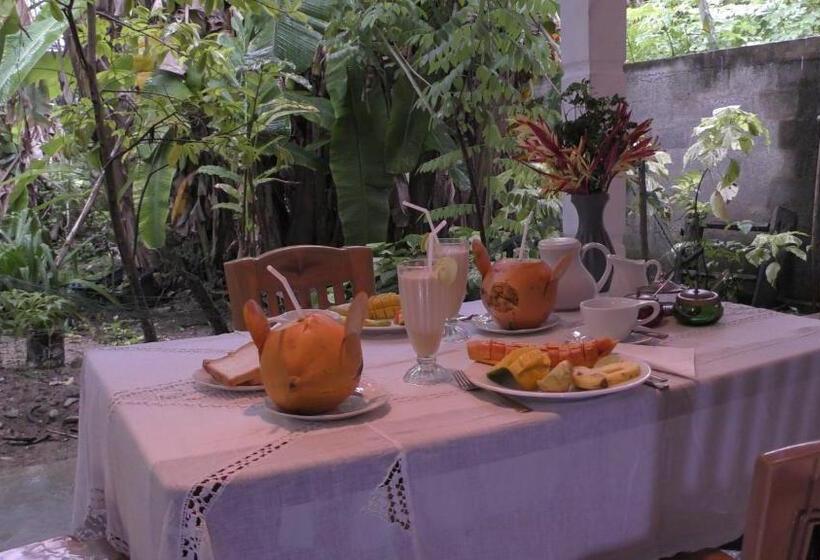 ペンション Pigeon House Kabalana