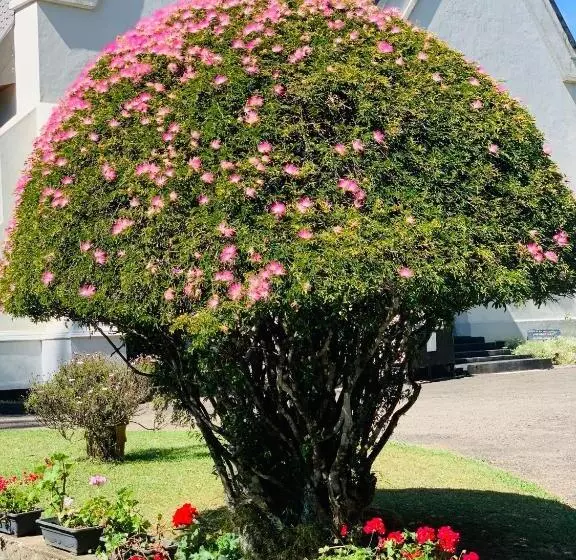 ペンション Shalomi S Villa & Happy Home