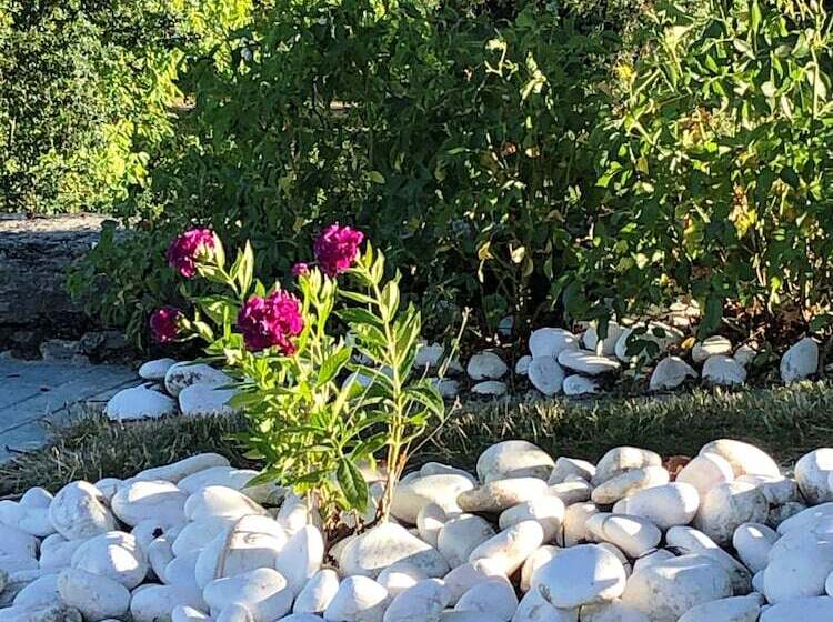 膳宿费 Vallée 1900