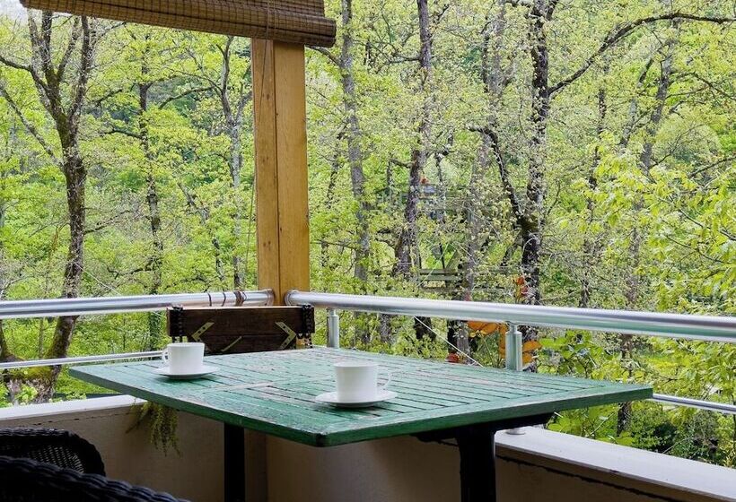 Weather Kamping & Bungalow Otel