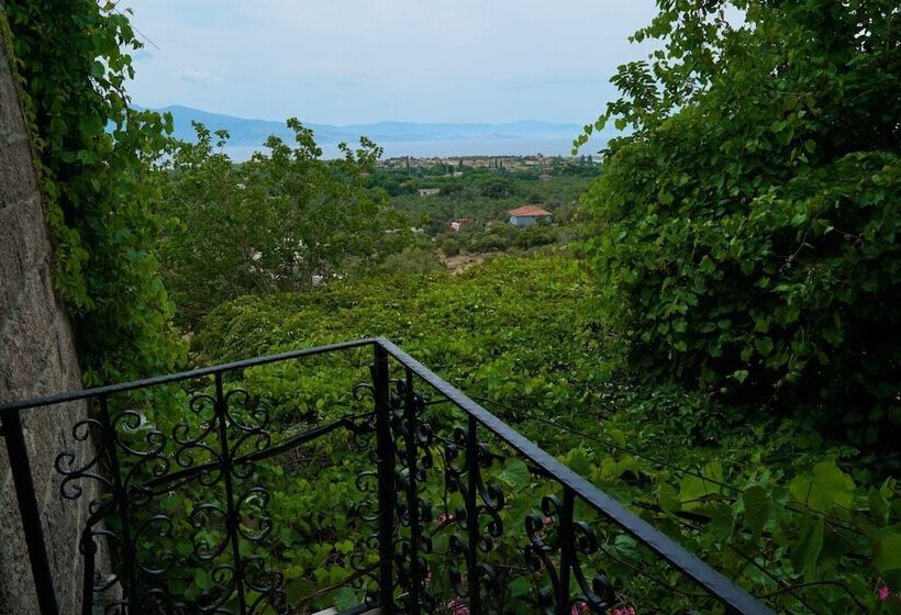 בית מלון כפרי Assos Ada